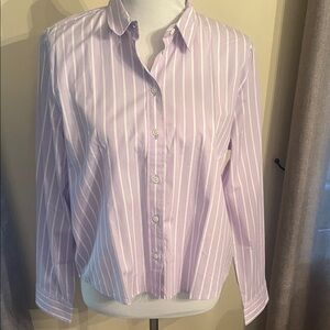 NWT JCrew Lavender Striped Button-Up Shirt